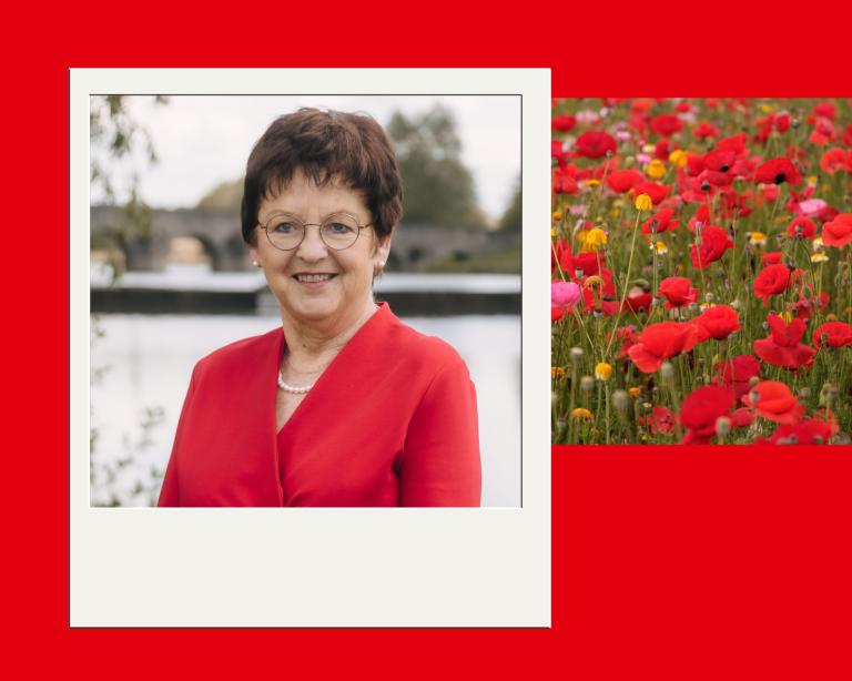 Brigitte Scharf - Würdigung eines langjährigen kommunalpolitischen Engagements